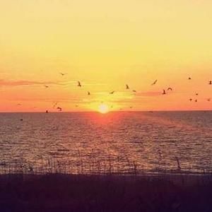 Meet your Posher, Vikki